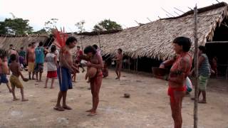 Yanomami   Mauxiu Web