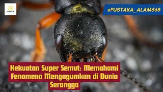 Kekuatan Super Semut: Memahami Fenomena Mengagumkan di Dunia Serangga #semut #animals #faktamenarik