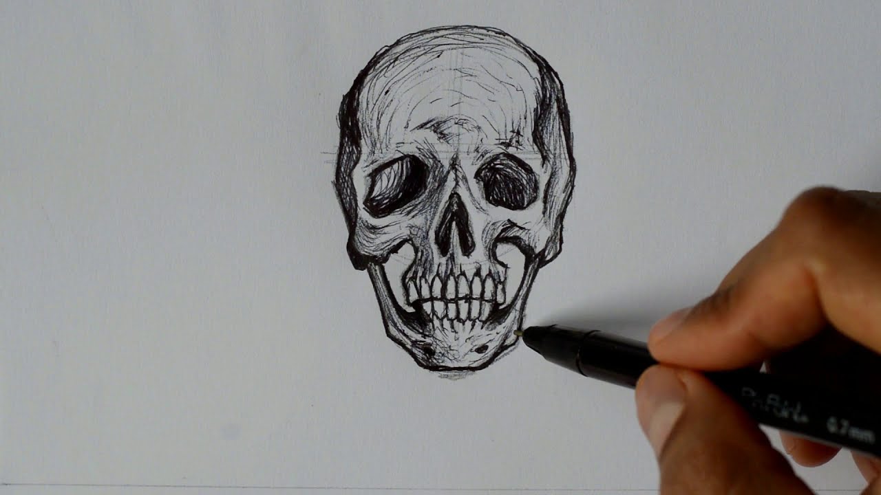 Como dibujar una calavera o cráneo muy fácil - thptnganamst.edu.vn