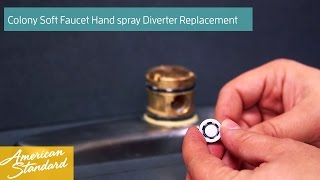 How to Replace the Hand Spray Diverter for your Colony Soft Faucet