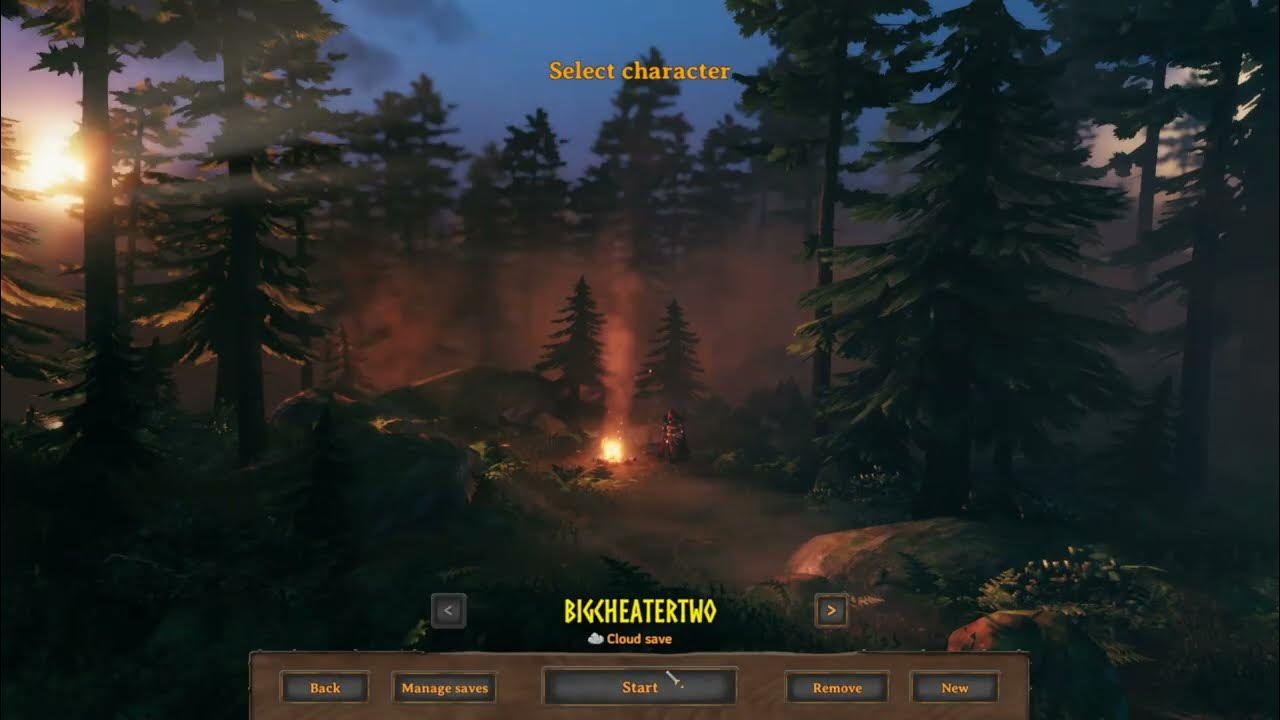 How to set up Valheim Dedicated Server, how to set up and set the world