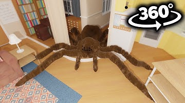 Spiders Breaks into Your House! in 360°