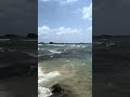 🌊🌊🌊🐠