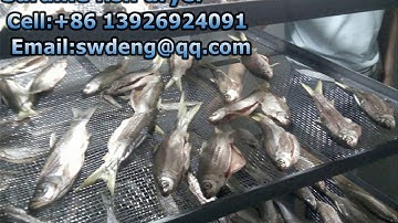 Sardine fish dryer（Low temperature dryer)