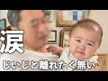 お泊まりしてじいじのことが大好きになったのに帰る事になった赤ちゃんの反応