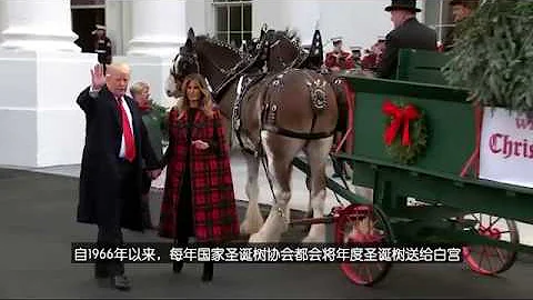 特朗普总统和第一夫人迎接白宫圣诞树 - 天天要闻