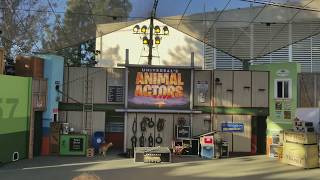 4K2017 Animal Actors At Universal Studios Hollywood