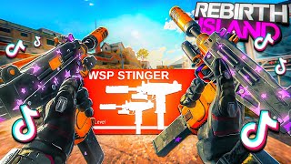 this TIKTOK WSP STINGER CLASS SETUP is AMAZING in WARZONE! (Rebirth Island/Vondel)