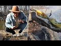 Cooking A Fresh Caught Trout Over Fire | The College Cook Outdoors