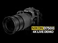 Nikon D7500 - 4K Live Video