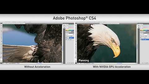 NVIDIA Photoshop kor