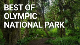 Top Things You NEED To Do In Olympic National Park by Parked In Paradise 19,374 views 3 months ago 8 minutes, 50 seconds
