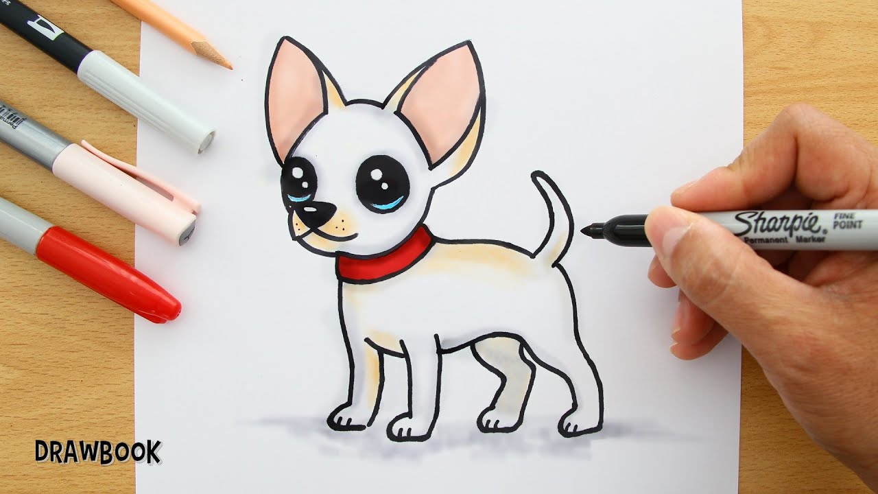 How To Draw A Chihuahua Puppy Chihuahua Teacup Youtube