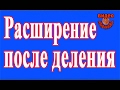 Расширение семьи после деления на пол-лёта.