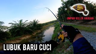 Casting Haruan  Guna Setup Ultralight Fishing Memang Syok  Daiwa Sea Ltd 1003  Vlog670