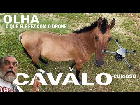 Coisas INCRIVEIS acontece QUANDO voamos um DRONE