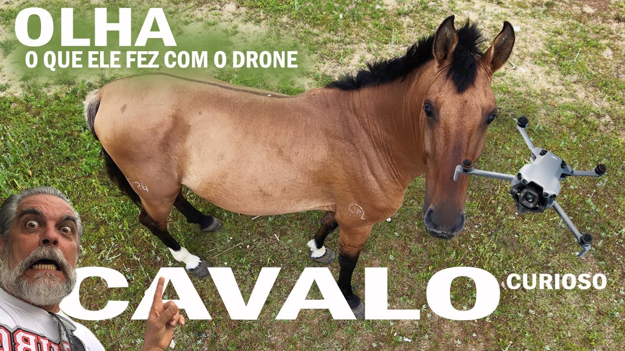 Coisas INCRIVEIS acontece QUANDO voamos um DRONE
