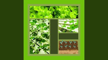 Pulsating Backdrops for Spring Rest