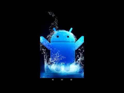ActionBar Startup Bug