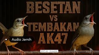 Masteran Kapas tembak sambung cigun, durasi pendek #masteranburung #kapastembak #cigun