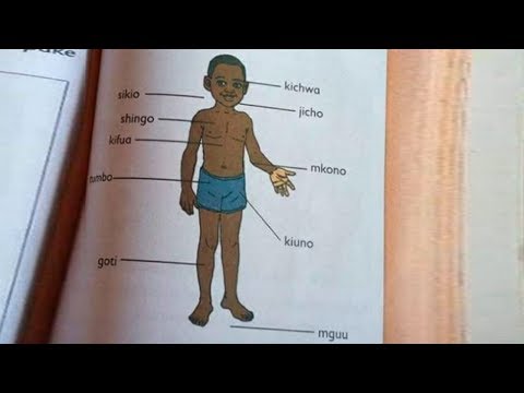 Video: Matokeo 5 ya kushangaza ya akiolojia ambayo yalitengenezwa mnamo 2015