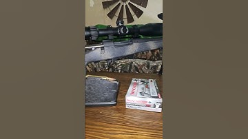 Bergara HMR14 300WM #gun #guns #shorts #2amendment #gunpoint #vortex #winchester #video #rifle