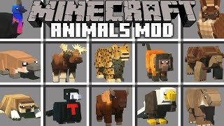 Minecraft Animals Spawn Egg (Zoo &amp; Wild Animals ZAWA) | Minecraft 4K + Shaders PC (No Commentary).
