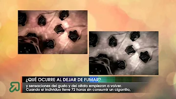 ¿Qué ocurre después de 20 años sin fumar?