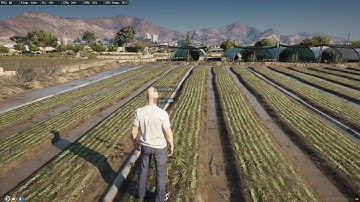 QBCore based Weedplanting | Plant Weed outside the House