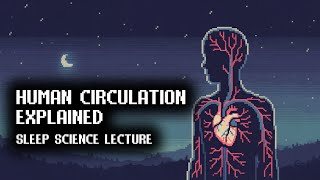 Human Blood Vessels and Circulation | Documentary for Sleep