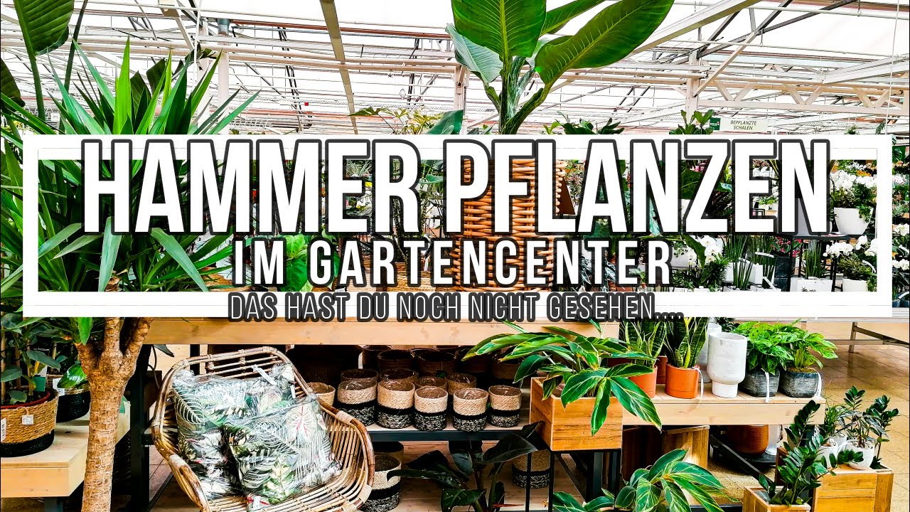 Seltene Pflanzen SHOPPING TOUR - Zimmerpflanzen haul Gartencenter -  Monstera Alocasia Begonia und Co