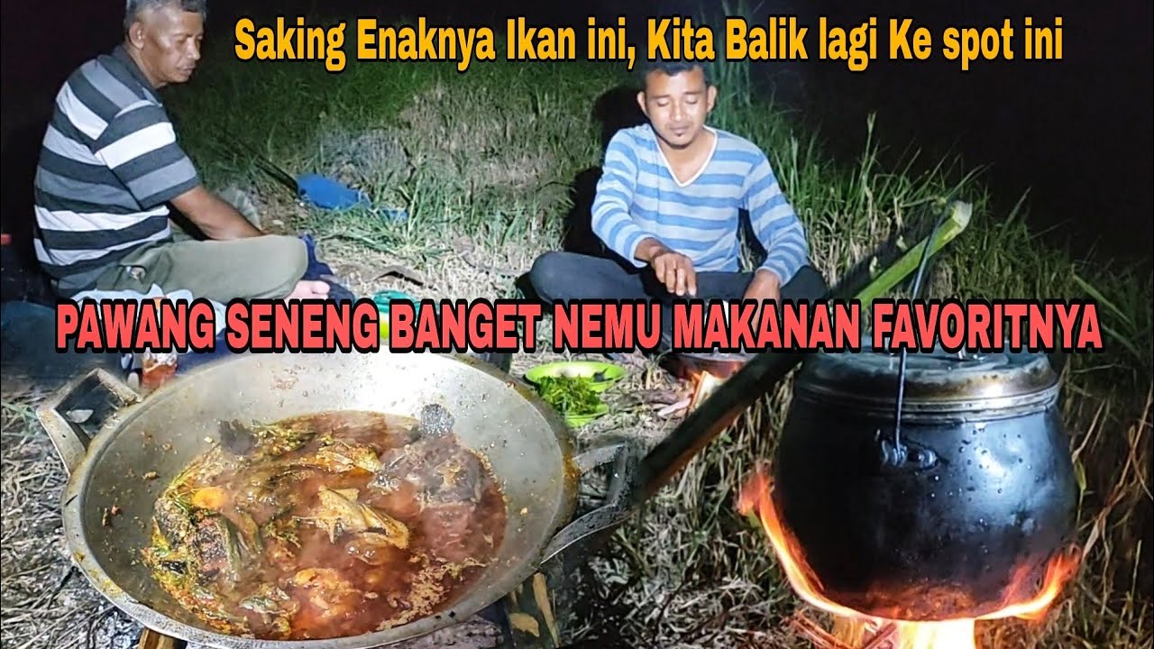 Pawang seneng banget Nemu makanan favorit nya || Saking enak nya ikan ini, kita balik ke spot ini