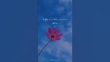 Surha Talaq Ayat 2-3#tilawat #quran #islam