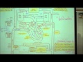 Anatomy circulatory system part 1 by professor fink