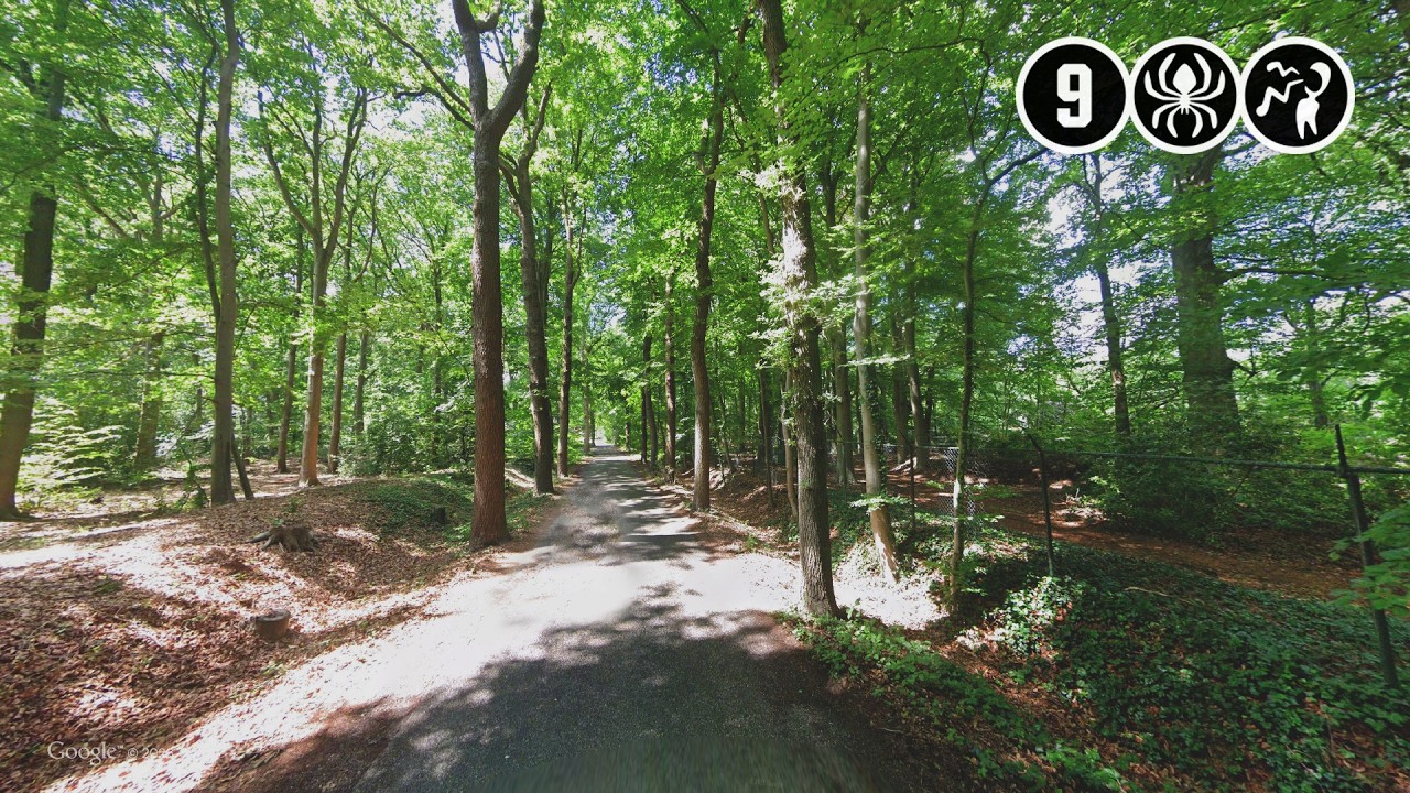 Fietser (20) zwaar mishandeld door vier mannen | Doorn