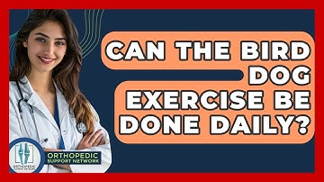 Can The Bird Dog Exercise Be Done Daily? - Orthopedic Support Network