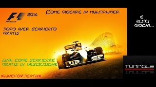 Come giocare in multiplay per formula 1 2014 e molti altri giochi con crack [tunngle]