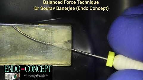 Balanced Force Technique with MANI Glide Finder Hand Files.