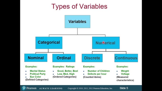 Ratio Scale: Definition, Characteristics and Examples, scale - okgo.net