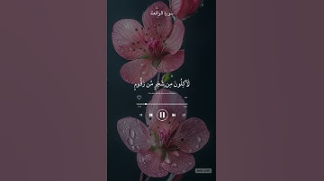#القرآن_الكريم #اكسبلور #المصحف #تلاوة #اللهم_صل_وسلم_على_نبينا_محمدﷺ #حالات_واتس #تيك_توك