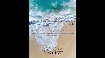قل لا يستوي الخبيث والطيب ولو أعجبك كثرة الخبيث | القارئ حمزة محمد عبدالمطلب |Sheikh hamza mohamed