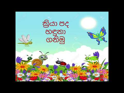 ක්‍රියා පද හඳුනා ගනිමු. ( 3 වසර මව්බස )