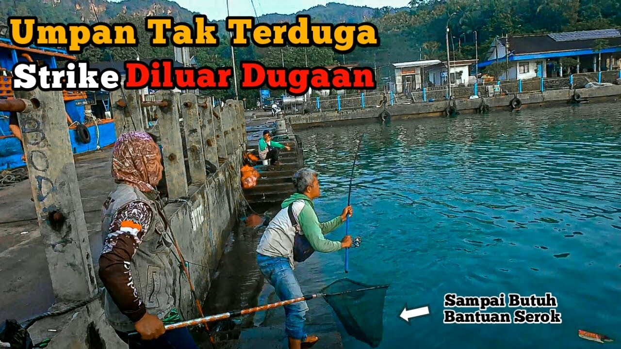 PANEN❗️❗️Mancing Umpan Ulat Di Dermaga, Strike Babon Ikan Bekukon / Patik / Kakap Batu