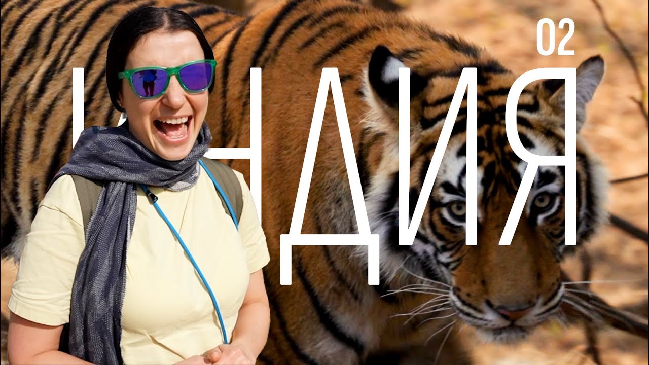 Индия | Златният Триъгълник | Част 02 | Сафари в Национален Парк Рантамборе