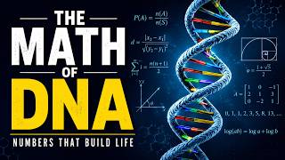 The Mathematics of Mutation: The Hidden Numbers That Drive Evolution