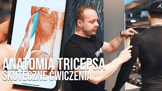 POWIĘKSZ RAMIĘ - ROZBUDUJ TRICEPS