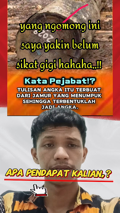 kok bisa gitu ya,‼️#shorts#pejabat#mentri#prabowo#jokowi#politics#banjir#sumatra#memes