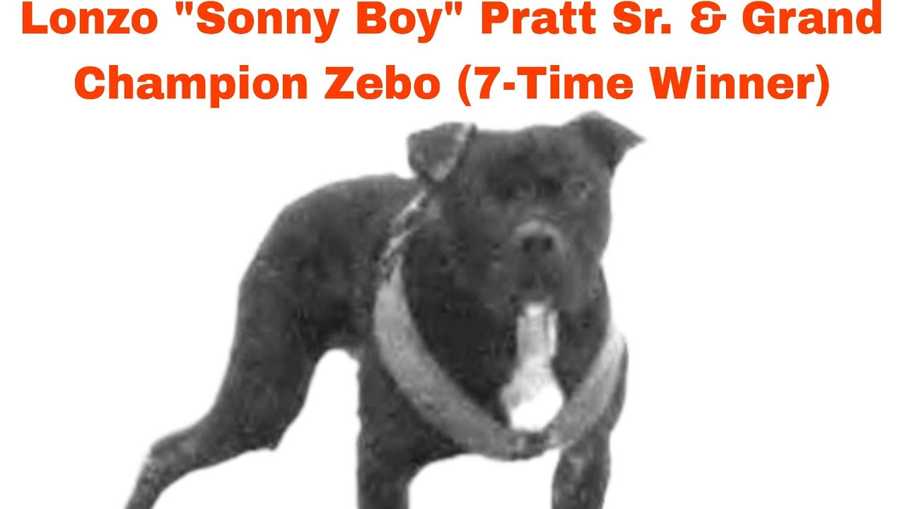 Lonzo 