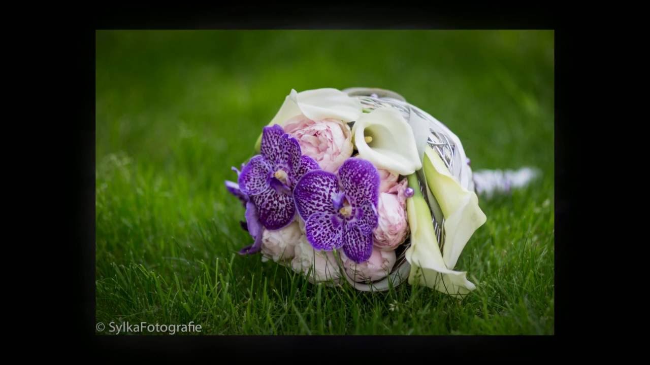 Trouwreportage Terneuzen 2016