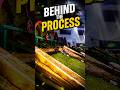 Tea Factory CTC Machine Process 🔥 | Satisfying Tea Processing Shorts #shorts